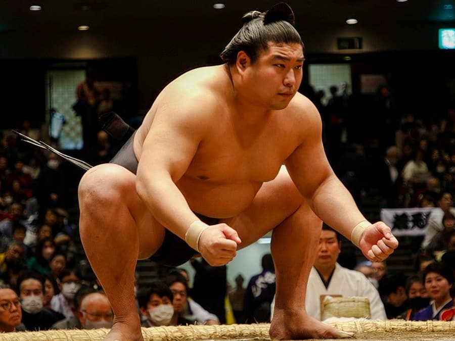 Grand Sumo Tournament with Reserved Seats & Expert English Guide · Ryōgoku Kokugikan