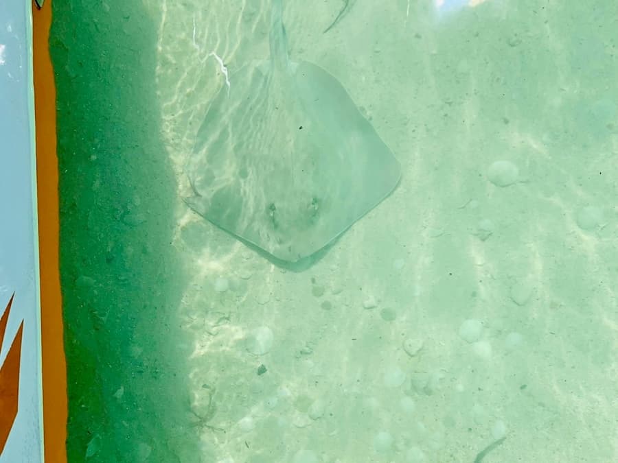 Private Snorkeling Charter
