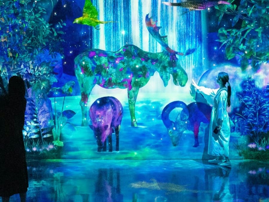 teamLab Forest Fukuoka: Entry Ticket