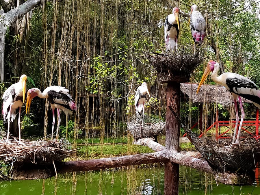 Penang Bird Park Ticket