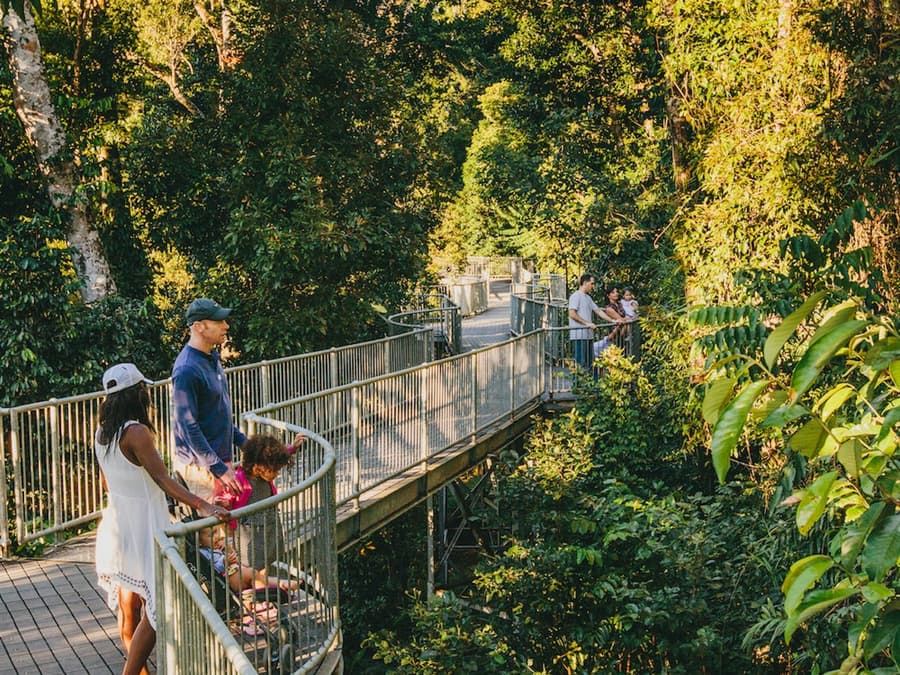 Mamu Tropical Skywalk: Entry Ticket