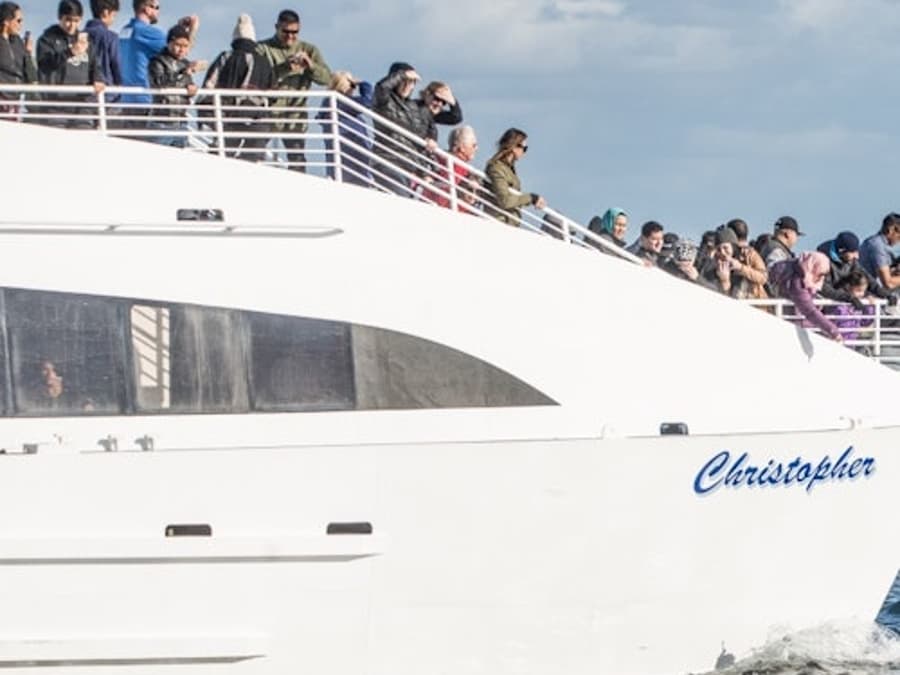 Long Beach: Whale and Dolphin Watching Cruise