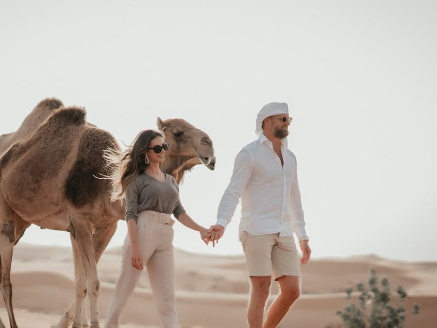 Dubai Morning Desert Safari: Camel Rides & Sandboarding