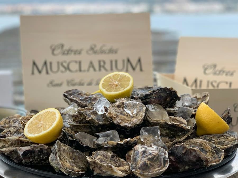Musclarium: Route of the Mussel Farms
