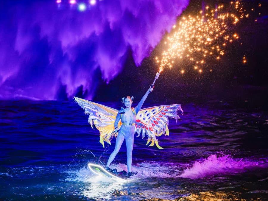 Symphony of the Sea Show With Dinner Options
