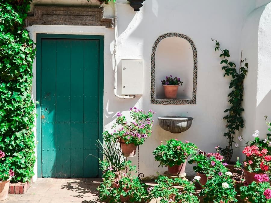 Viana Patios & Palace: Guided Tour