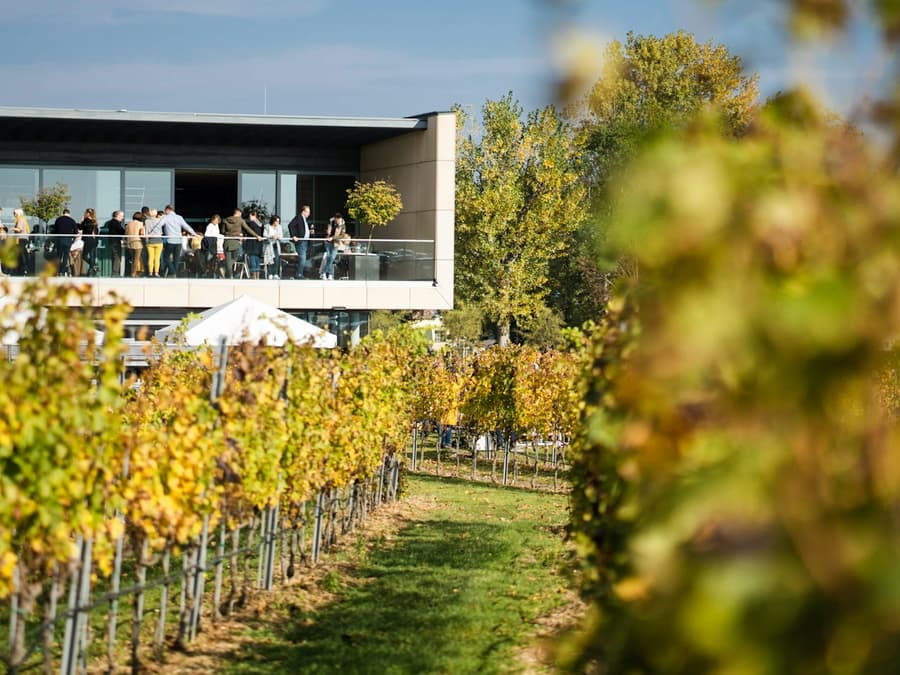 Esterházy Winery Experience