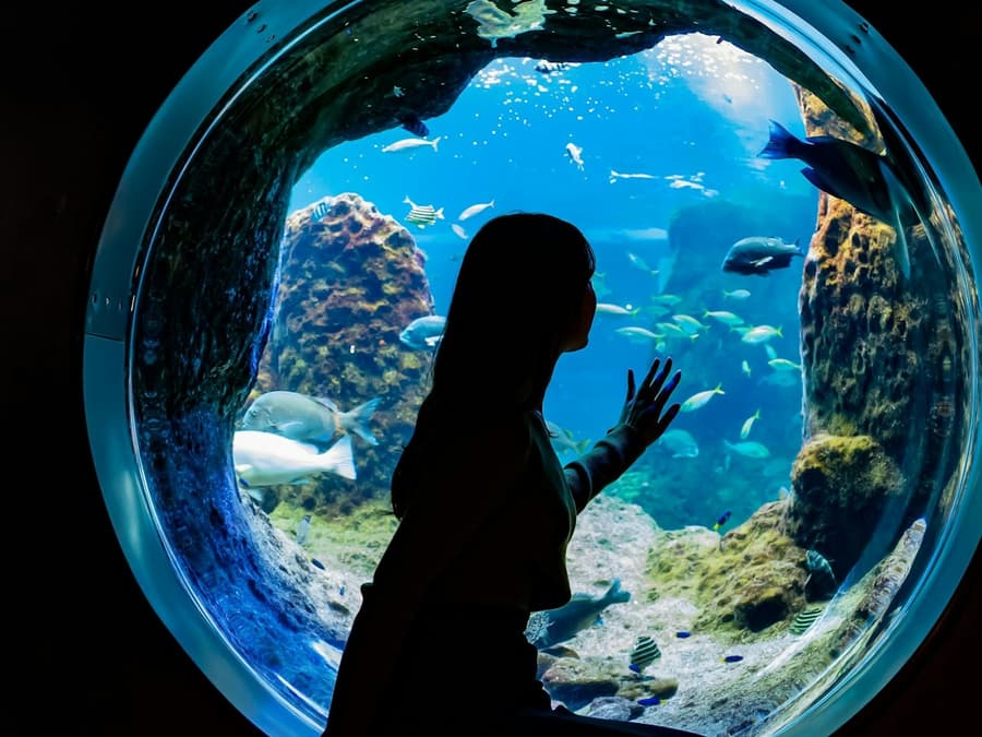 Enoshima Aquarium: Entry Ticket