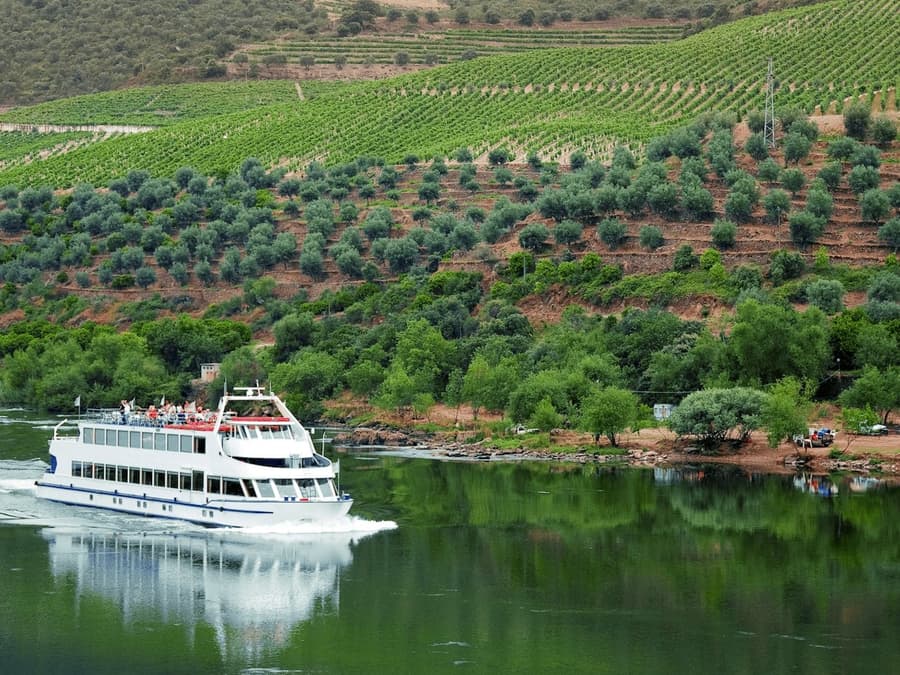 Douro Valley: River Cruise + Breakfast & Lunch from Porto