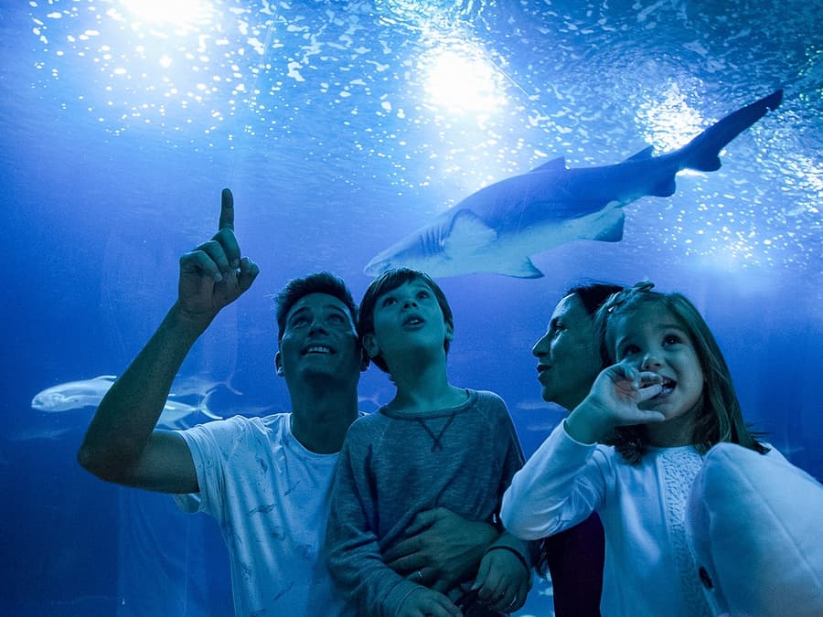 Oceanogràfic Tickets