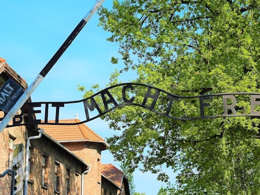 Auschwitz-Birkenau: Visita Guiada + Transport + Dinar