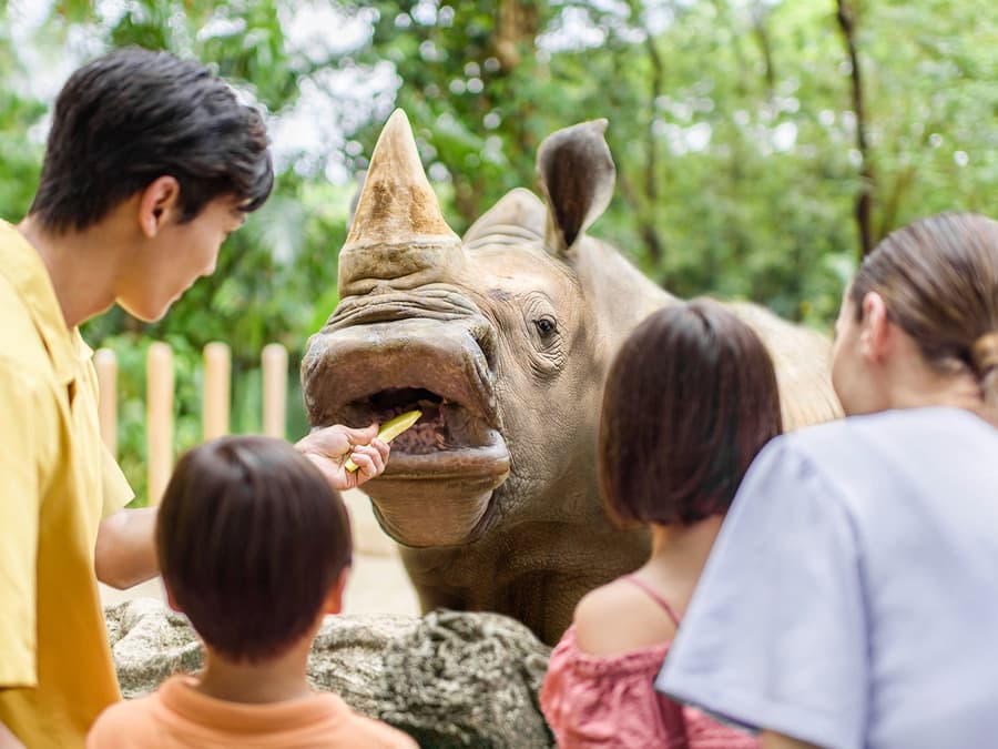 Billets pour le Zoo de Singapour avec tour en tramway