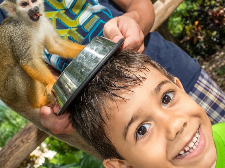 Monkeyland and Plantation: Guided Tour + Tasting + Roundtrip Transfer