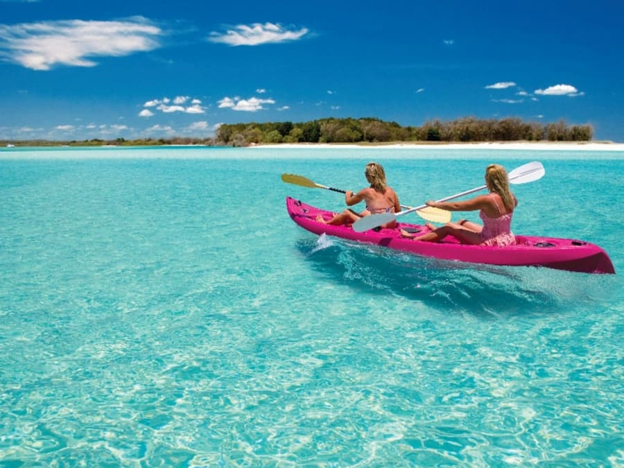 K'gari: Whale Watching Cruise from Hervey Bay + Guided Walk + Buffet Lunch