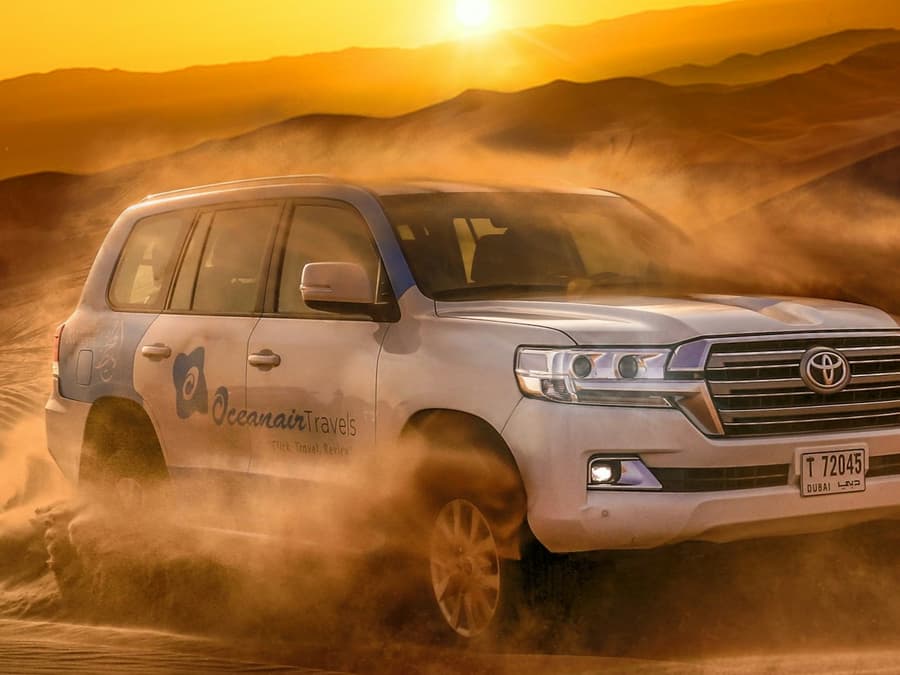 Premium Desert Safari: Camel Ride, Falconry and BBQ Dinner at Al Khayma Camp
