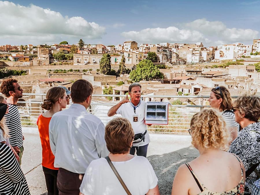 From Pompeii: Pompeii and Herculaneum Guided Tour with Train Transfer