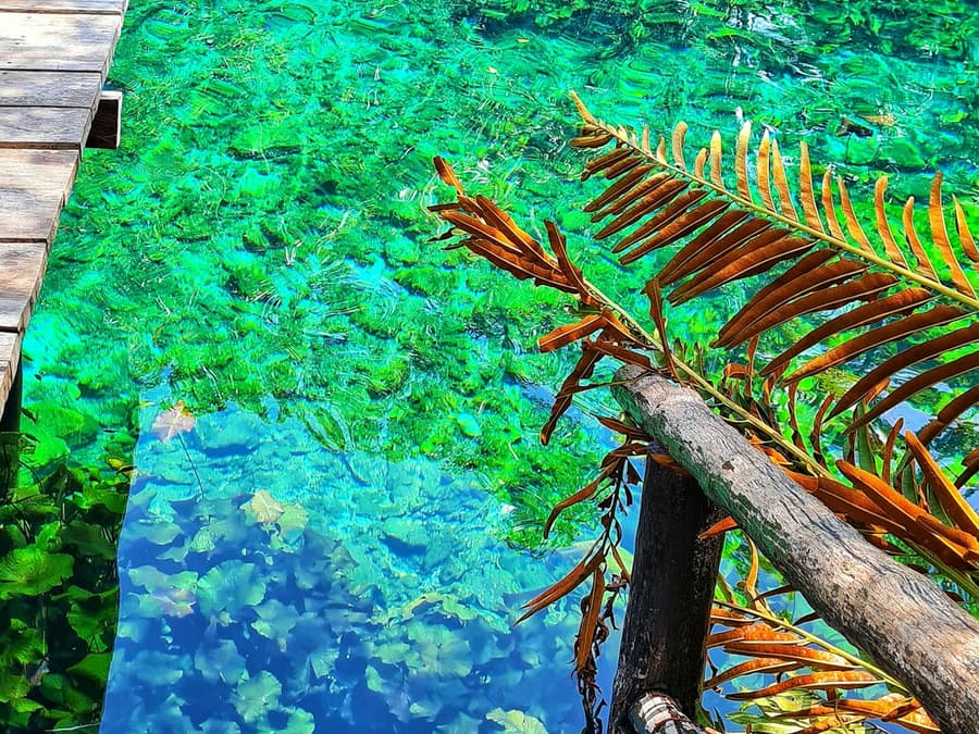 Maya Ruins of Tulum, Eco Park & Snorkeling: Guided Tour, Entry, Transfer + Lunch