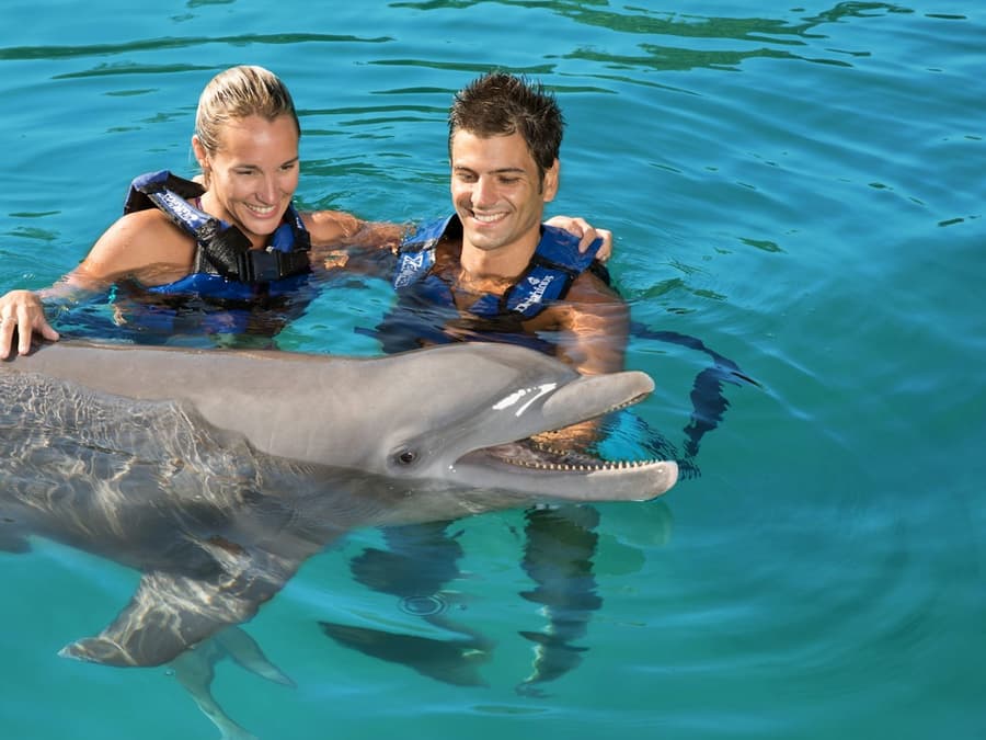 Delphinus Xel-Há: Fast Track Ticket + Hotel Pickup + Swim with Dolphins