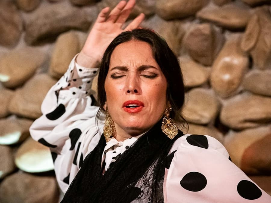 El Gallo Ronco Málaga: Flamenco Show