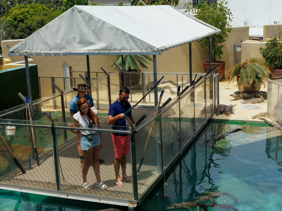 Big Croc Encounter VIP Tour