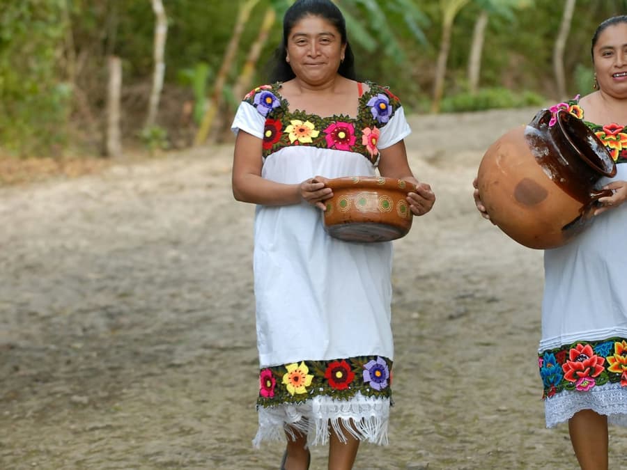 Cobá Ruins, Punta Laguna & Cenote: Guided Tour, Transfer from Tulum + Lunch