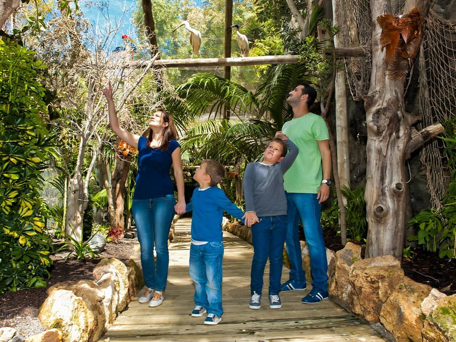 Tenerife Jungle Park Tickets