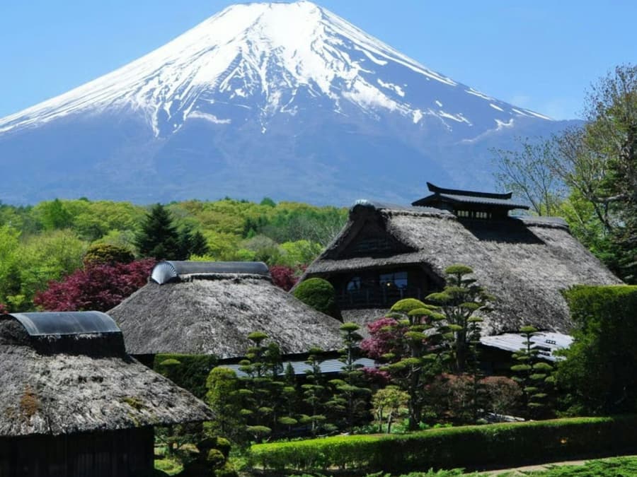 Mount Fuji, Oshino Hakkai & Gotemba Premium Outlets: Guided Bus Tour from Tokyo