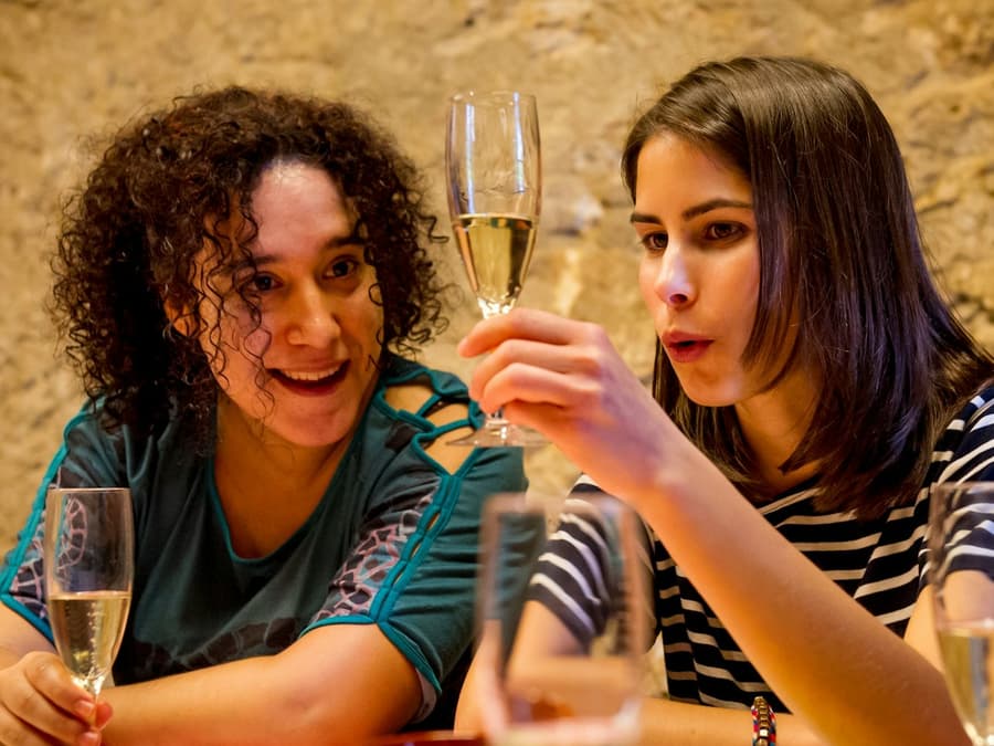 ArtCava: Vineyards and Winery Tour