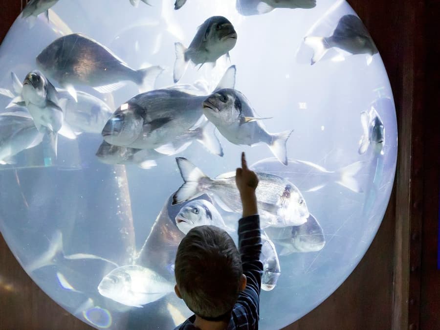 SEA LIFE Speyer: Entry Ticket