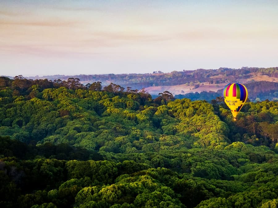 Byron Bay: Hot Air Balloon Flight at Sunrise