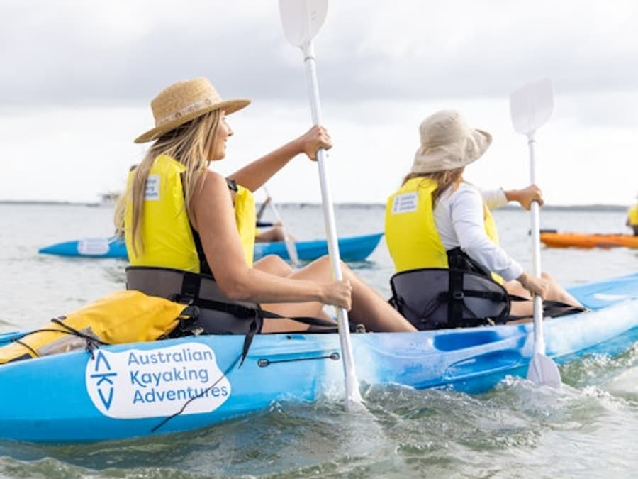 Gold Coast: Morning Dolphin Kayaking & Snorkeling Tour