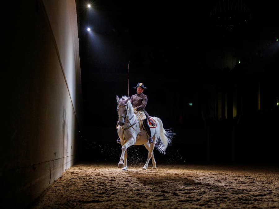 Escuela Española de Equitación: exhibición de los lipizanos (70 min)