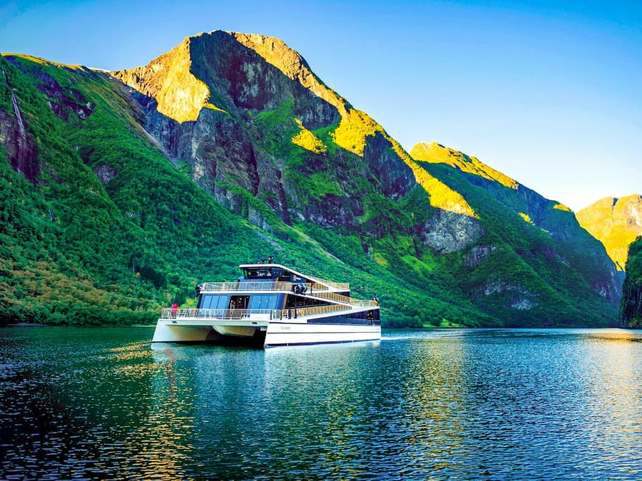 From Bergen: Guided Day Tour of Flåm & Stegastein Viewpoint with Nærøyfjord Cruise