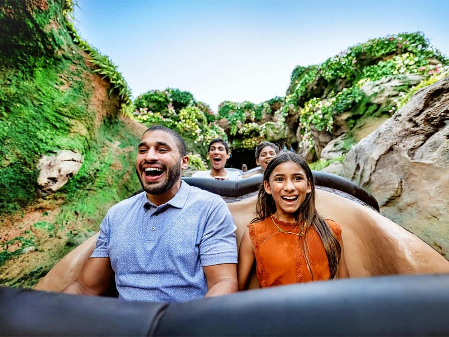 Disney’s Animal Kingdom 1-Day Ticket