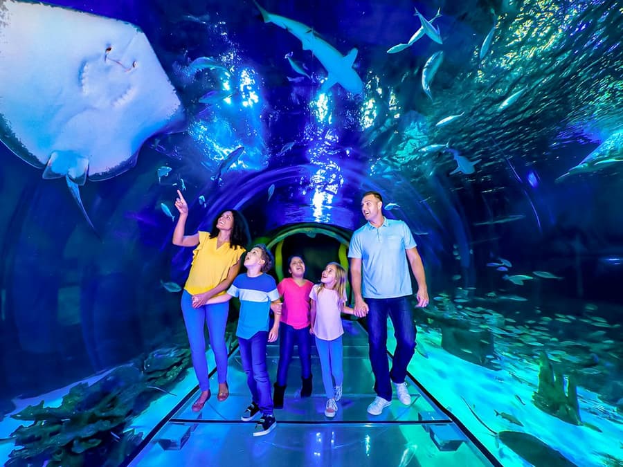 SEA LIFE Orlando Aquarium Admission Tickets