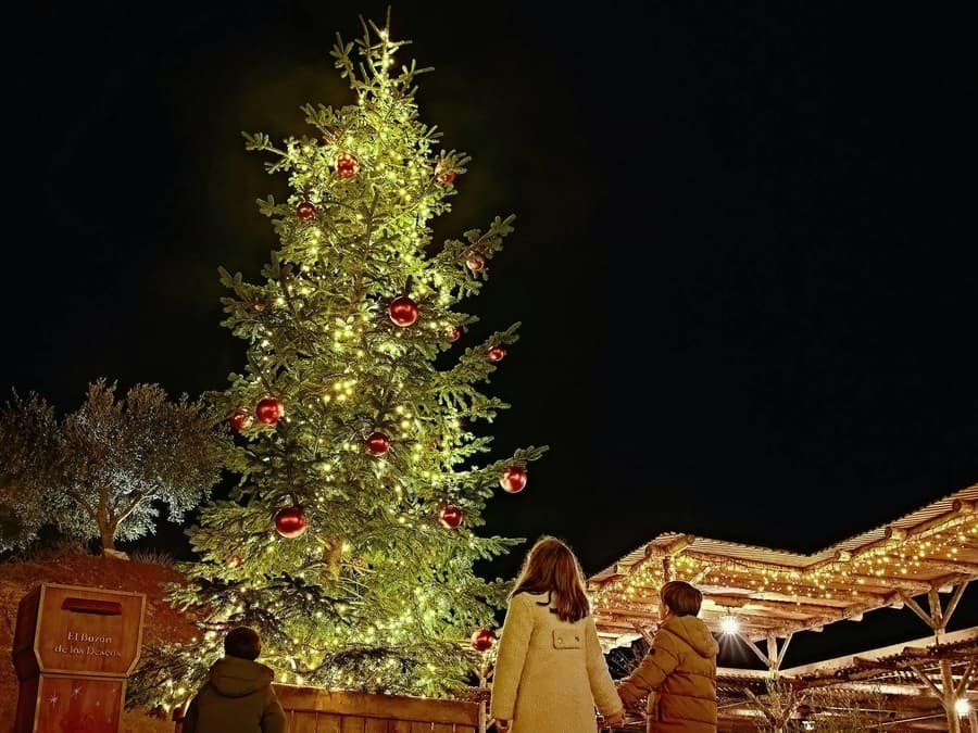 Puy Du Fou España Christmas 1-Day Tickets