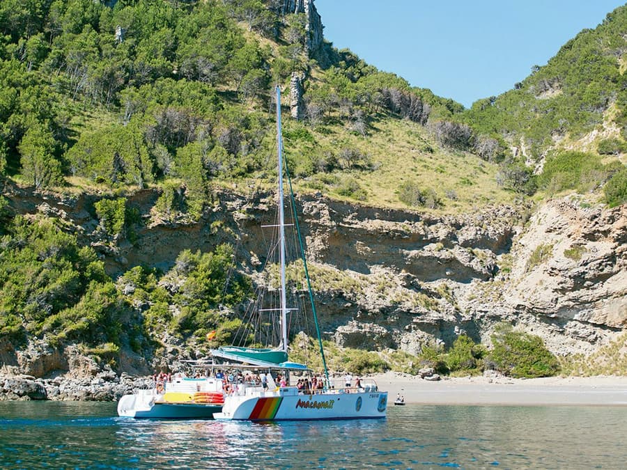 Alcudia Catamaran Tour