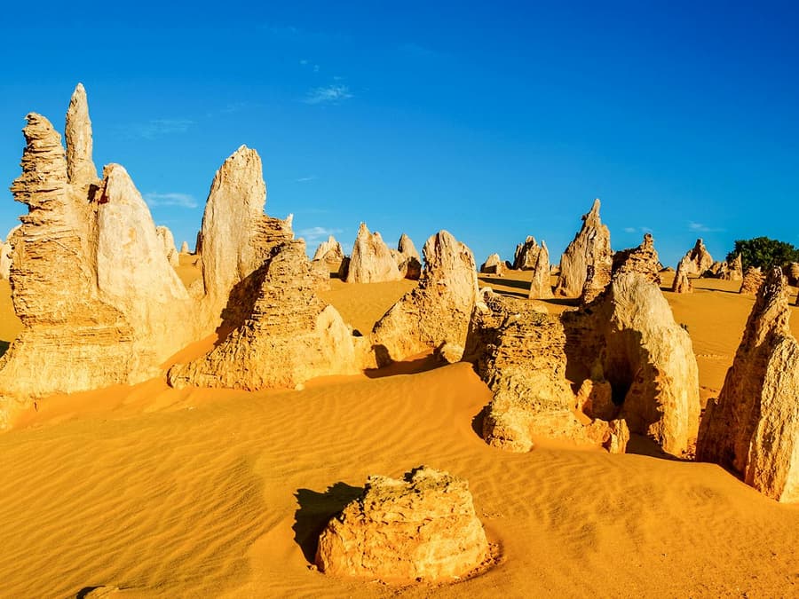 Pinnacles, Wildlife Spotting & Swan Valley Tour with Round-Trip Transfers & Lunch