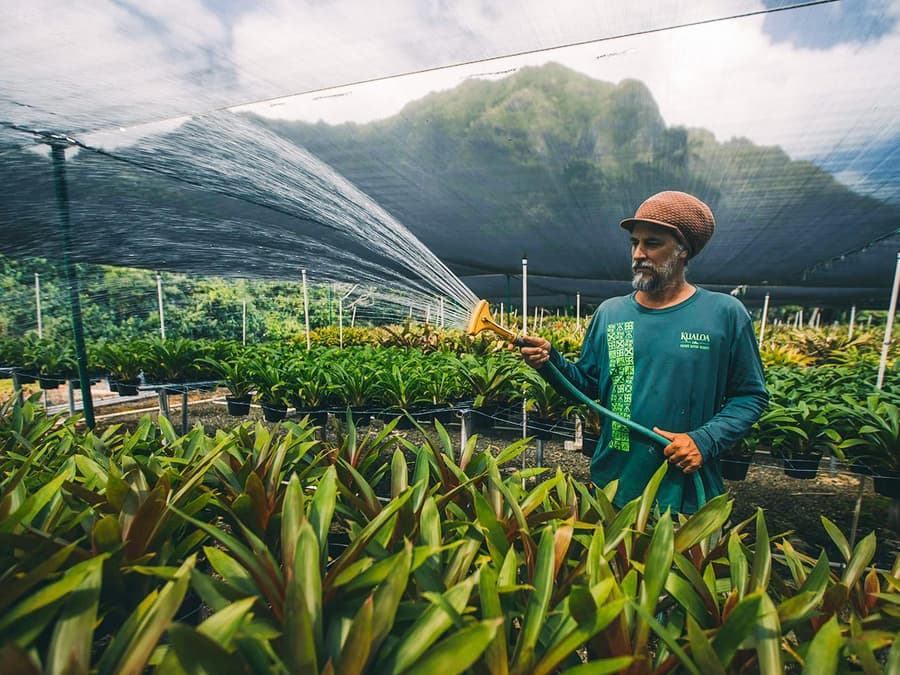 Kualoa Ranch: Kualoa Grown Tour