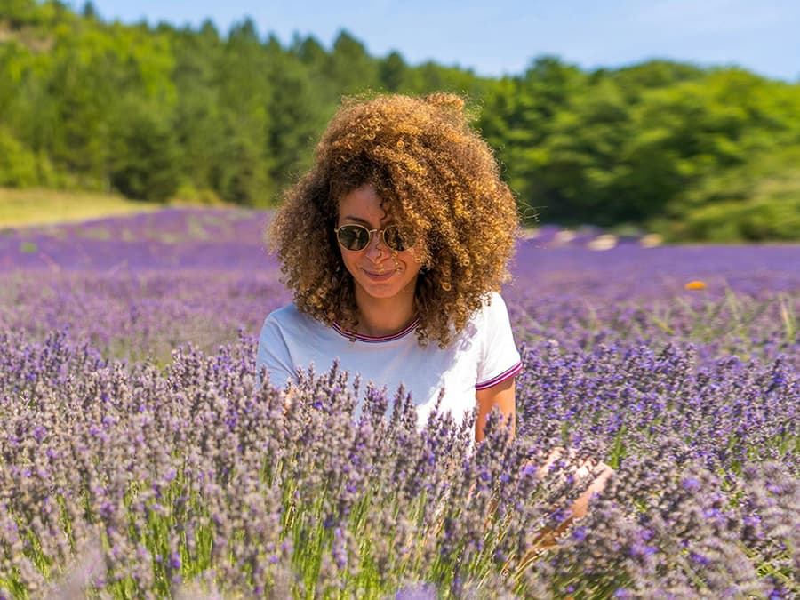 From Avignon: Lavender Fields Tour