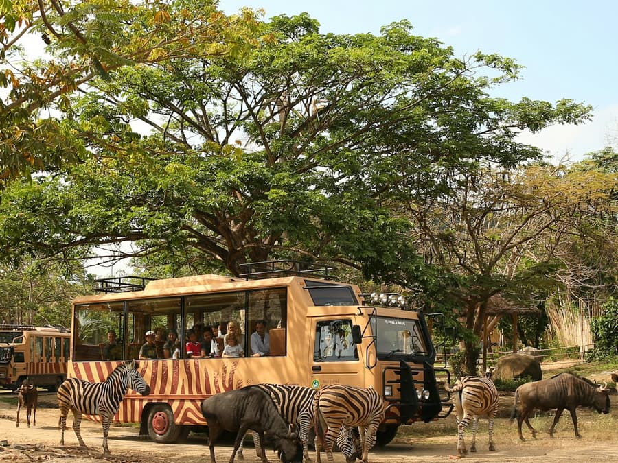 Bali Safari: Day Pass