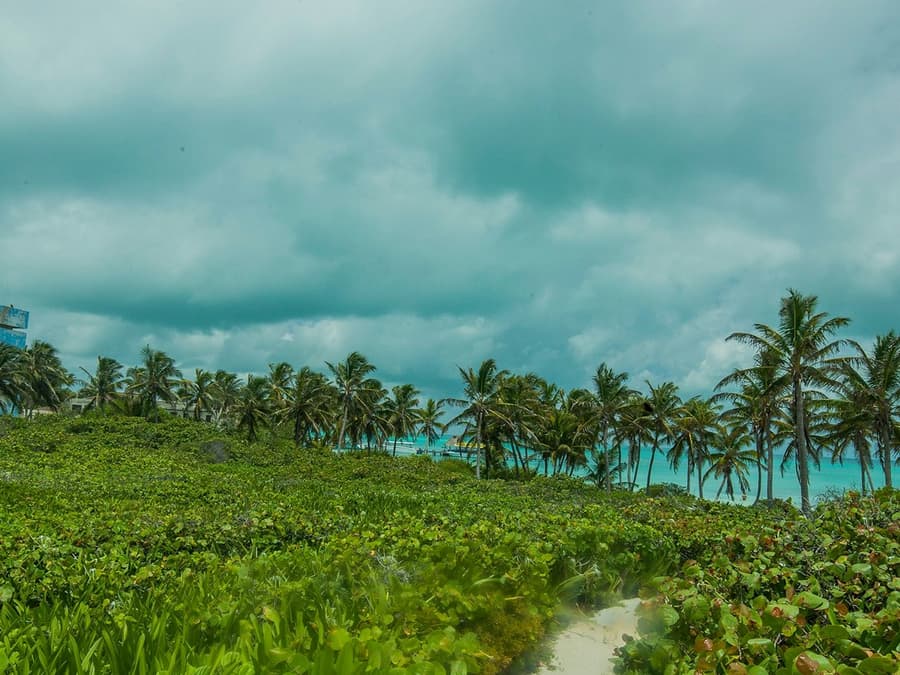 Isla Contoy & Isla Mujeres: Boat and Snorkel Tour from Cancún