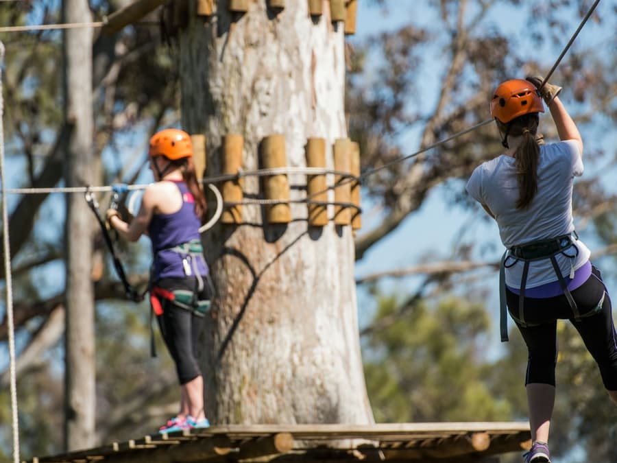 Treetops Adventure: Nowra Park