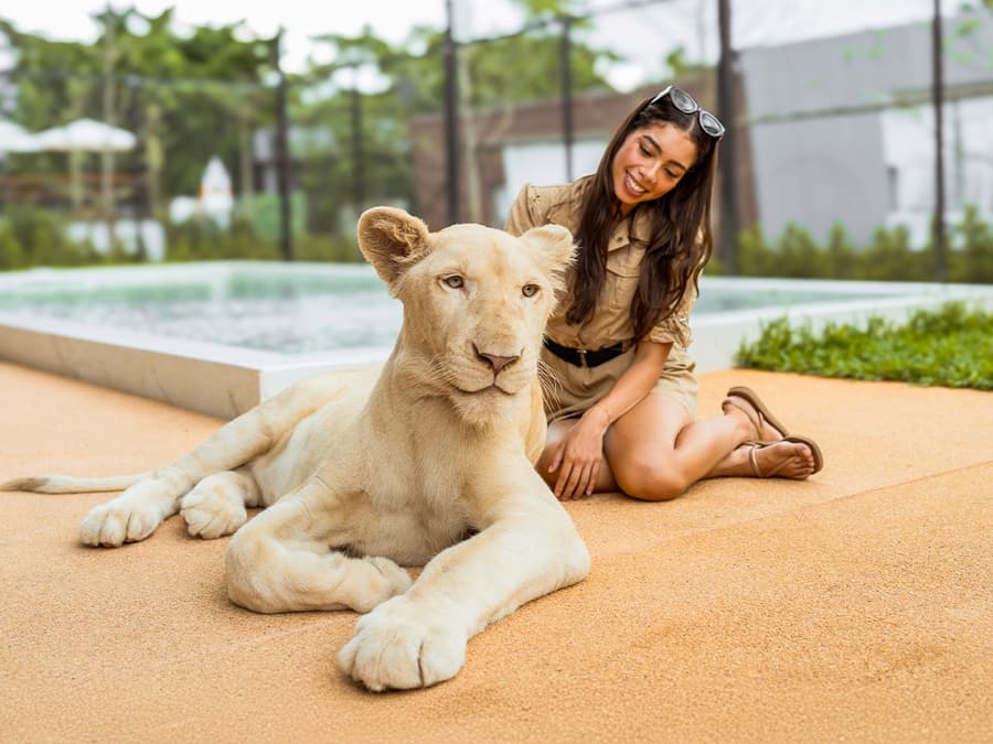 Lion Land Phuket Tickets