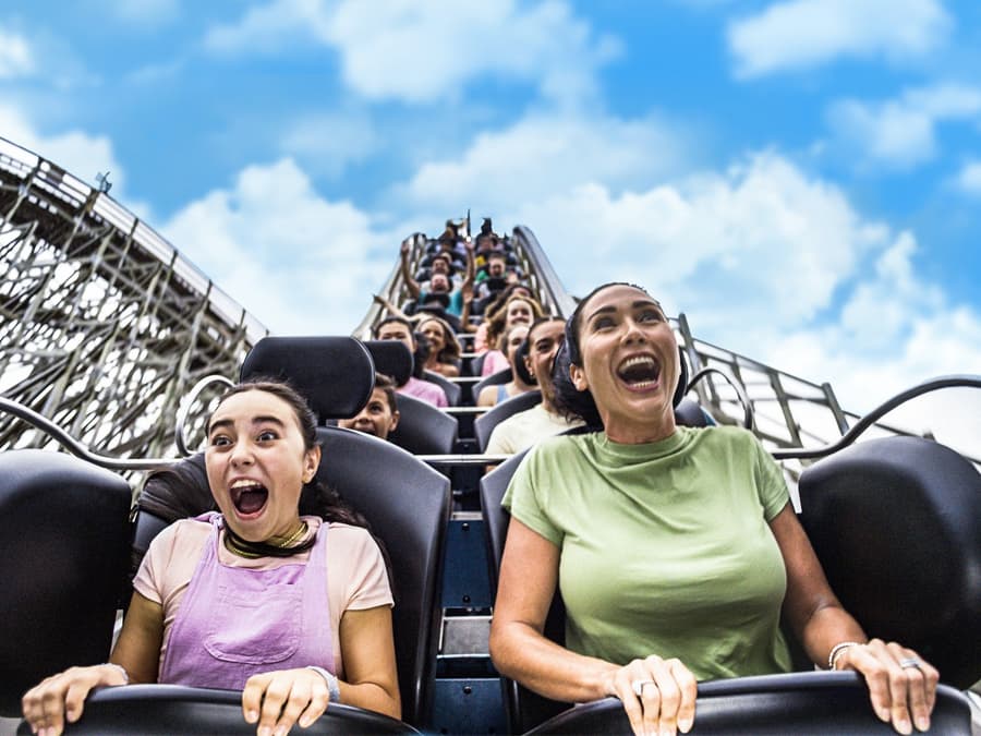 Unlimited Multi-Day Theme Parks Pass: Movie World, Sea World & Wet'n’Wild