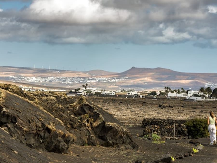 Lanzarote: El Grifo Wine Lovers Tours
