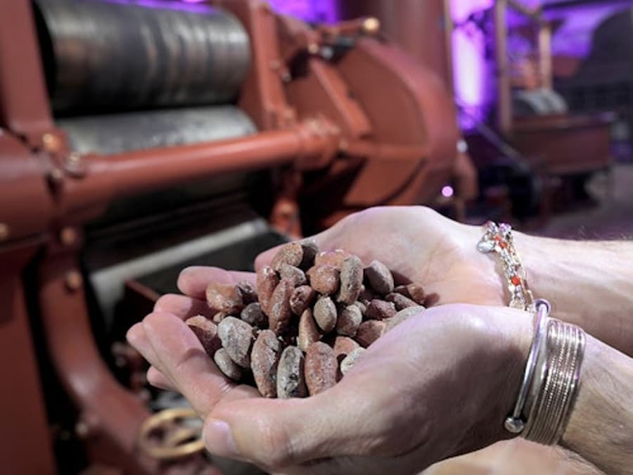 Turin: Choco-Story Tour + Audio Guide + Chocolate Tasting