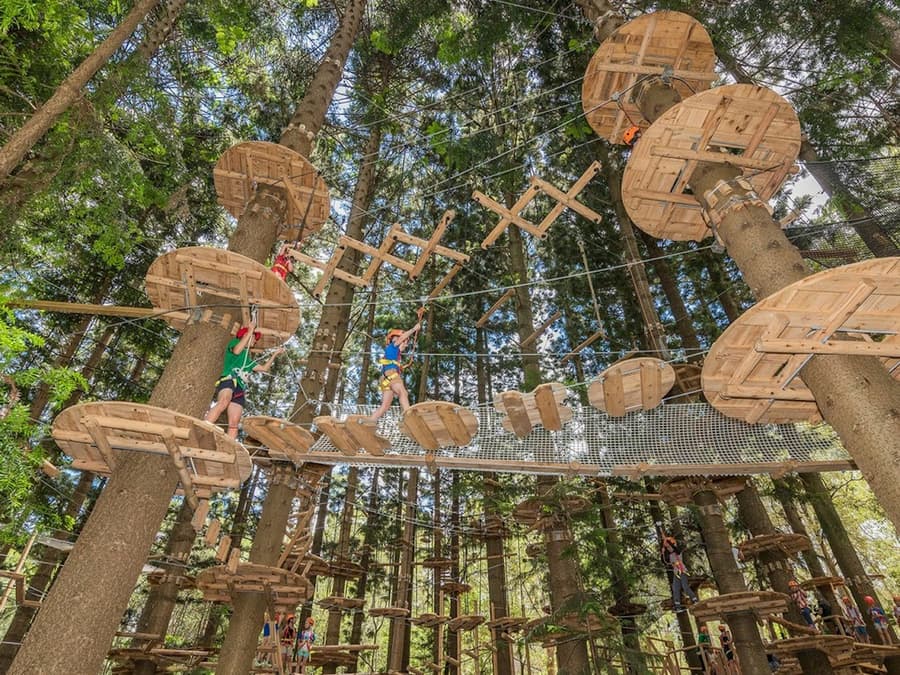 Treetops Adventure - The Hills: Entry Ticket