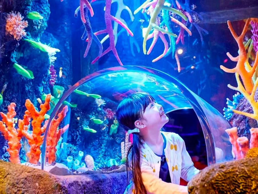 SEA LIFE Nagoya: Entry Ticket