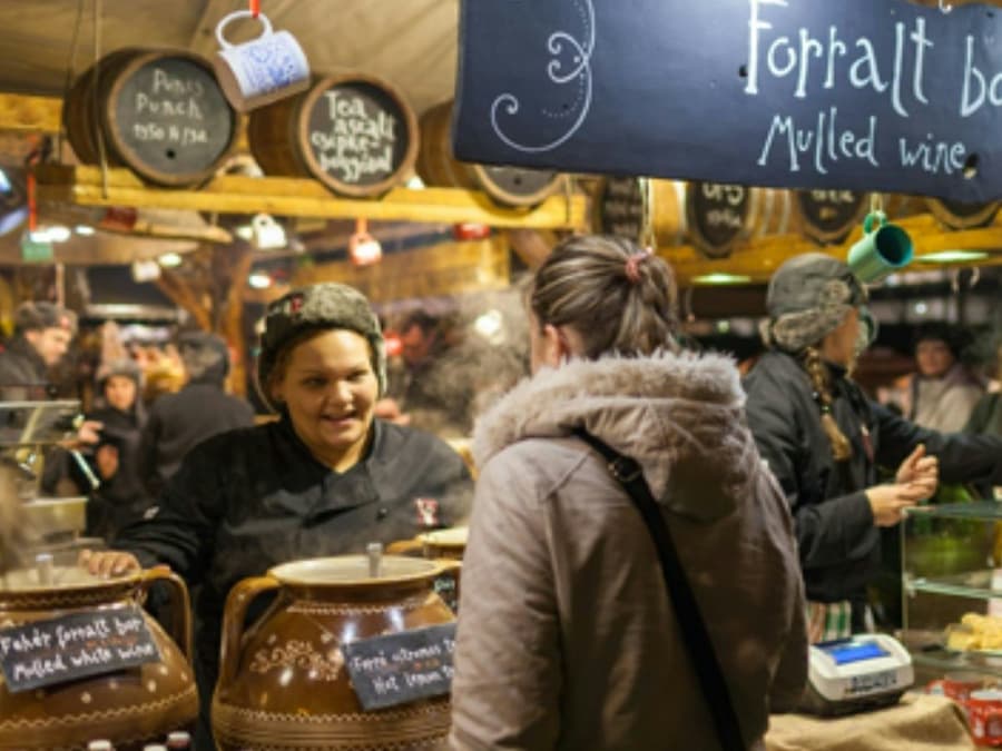 Brussels: Christmas Lights Tour